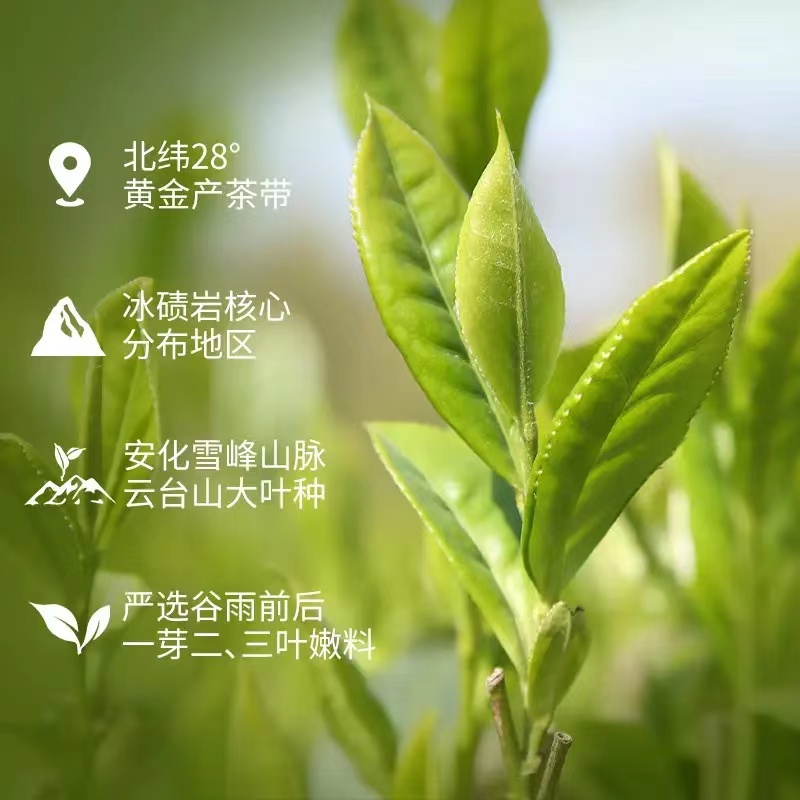 湖南安化黑茶正宗白沙溪金花獲磚茶茶禮茶葉天獲茶1kg